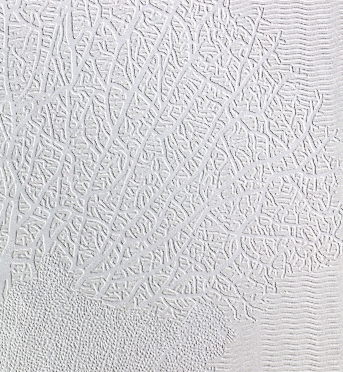3D Coral Serenity - Paintable