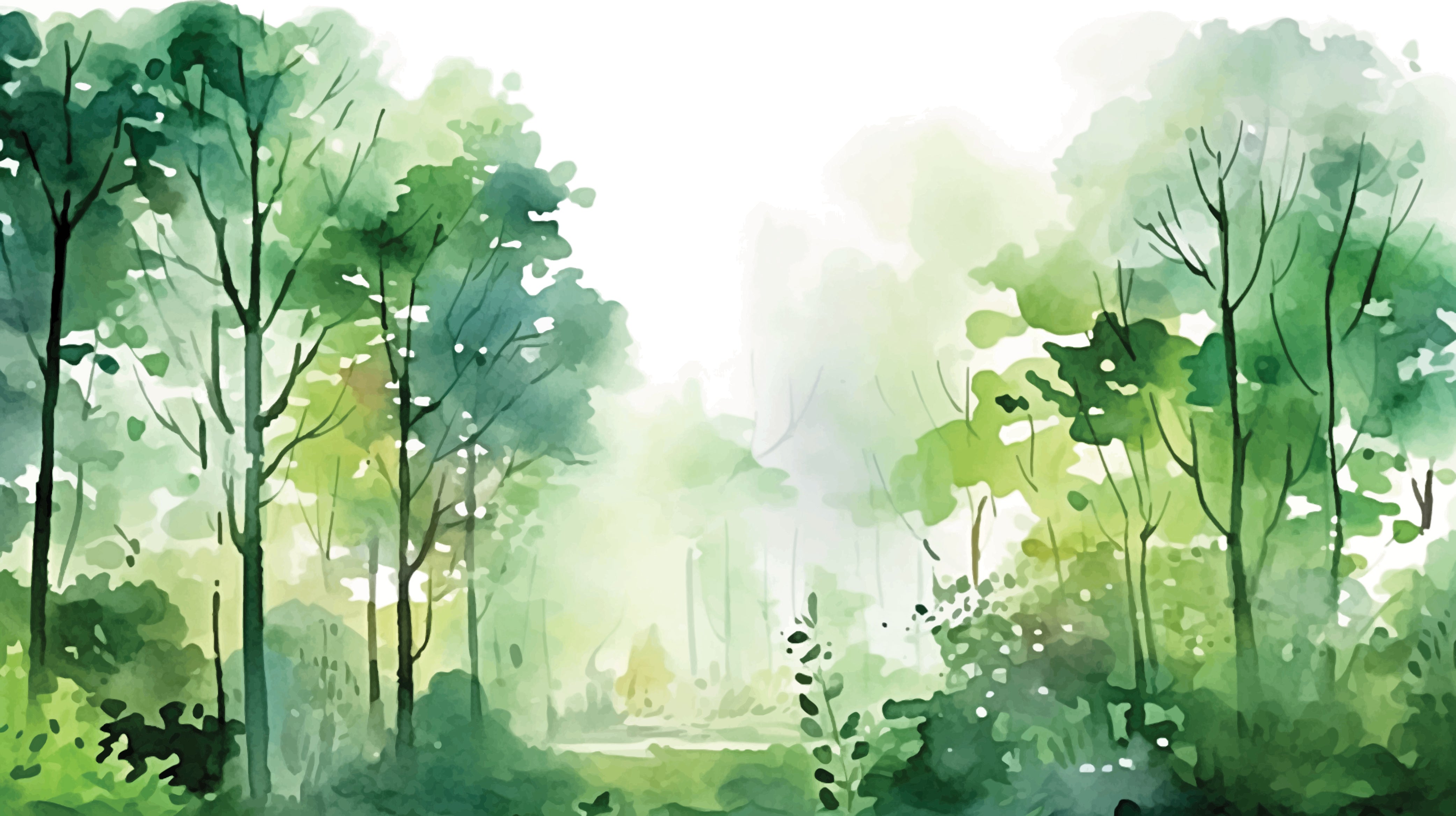 Woodland Light Dance