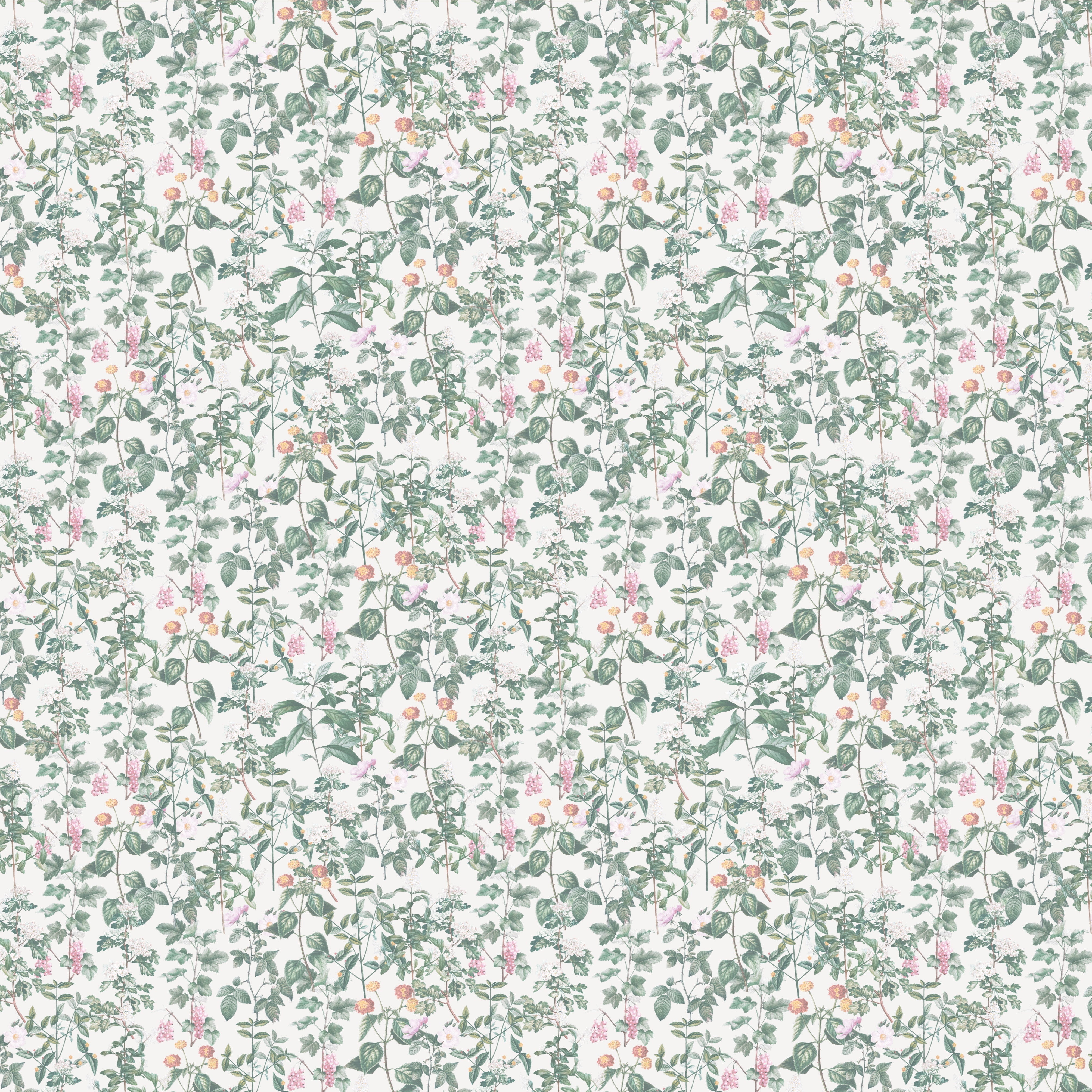 Meadow Whispers