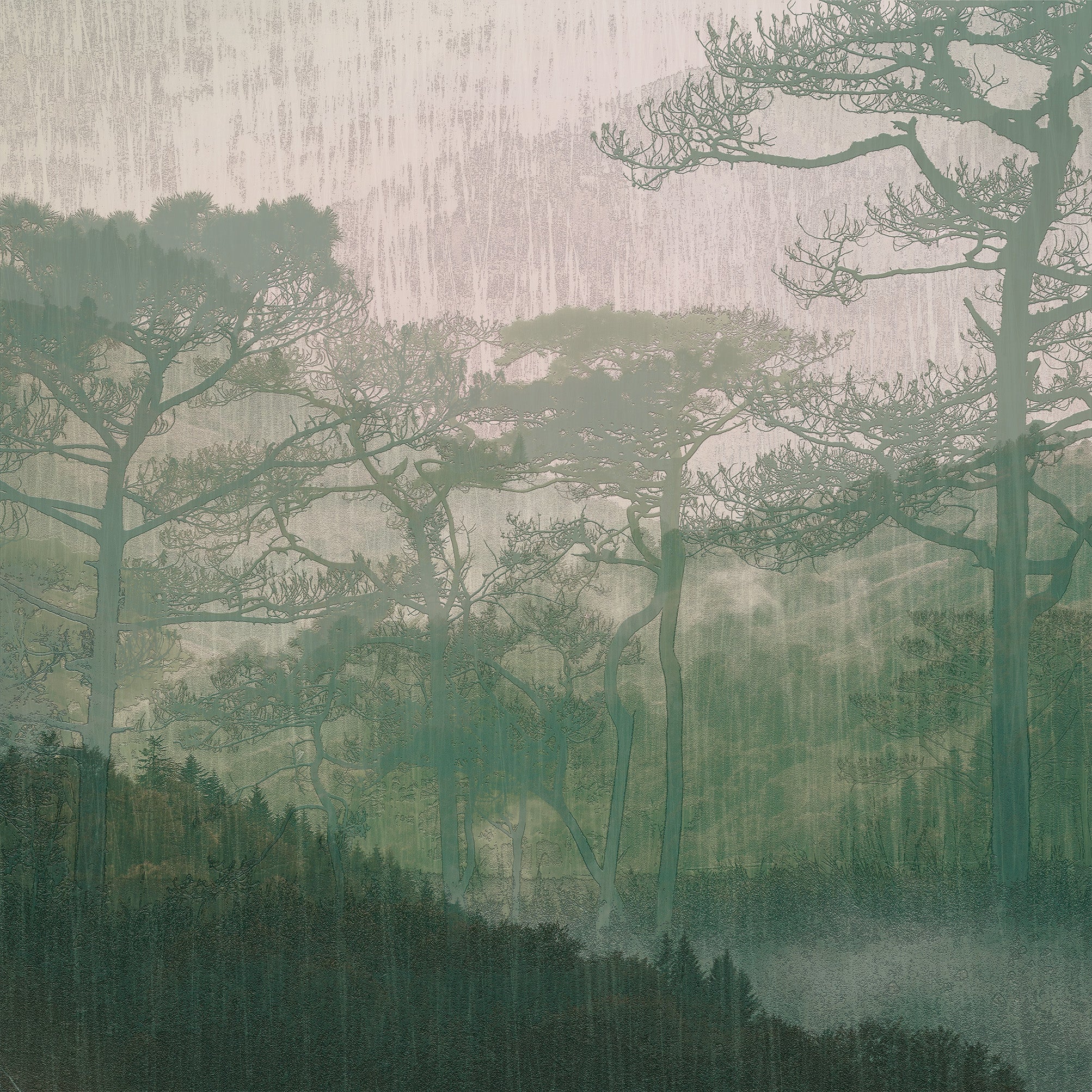 3D Forest Whispers - Printed Mural
