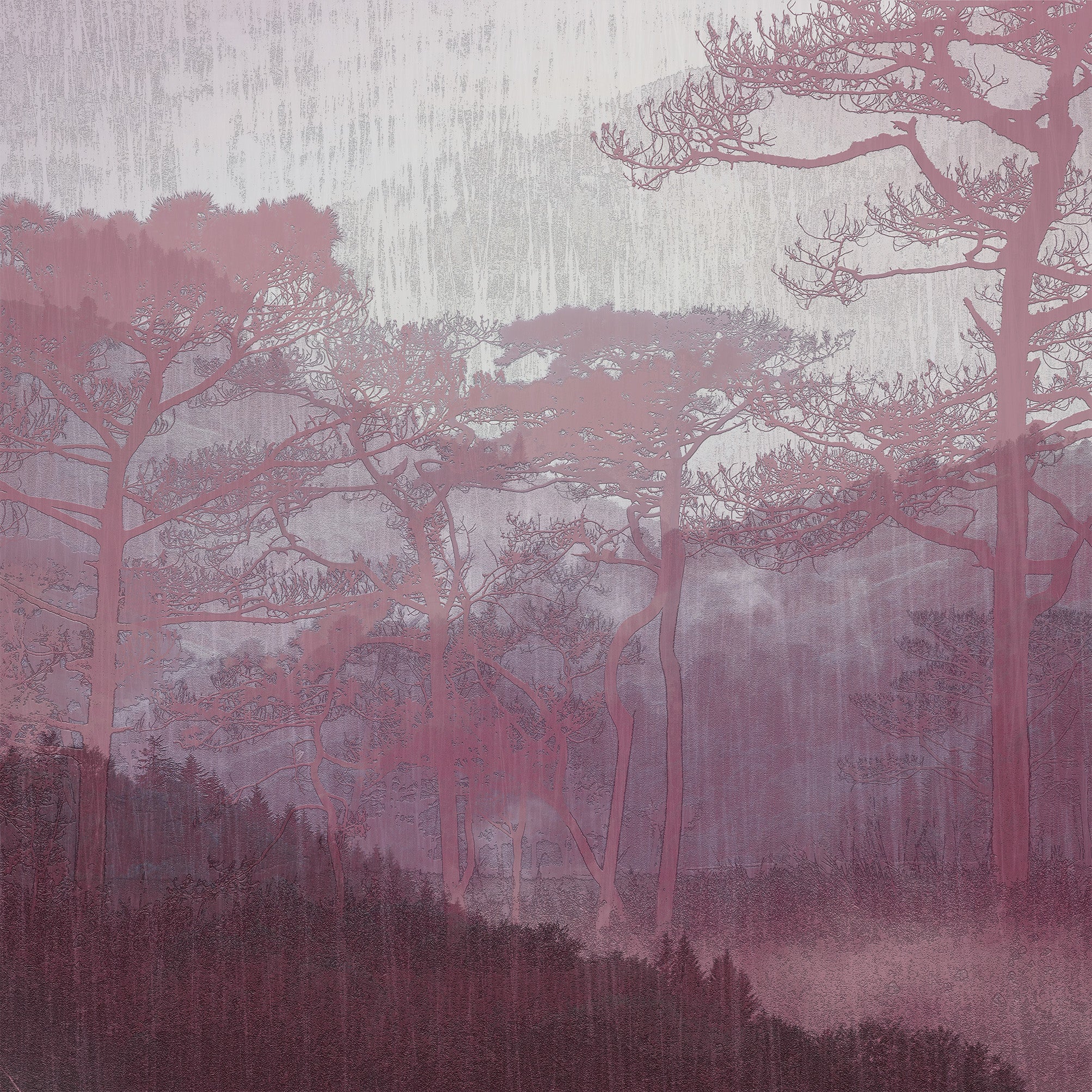 3D Forest Whispers - Printed Mural