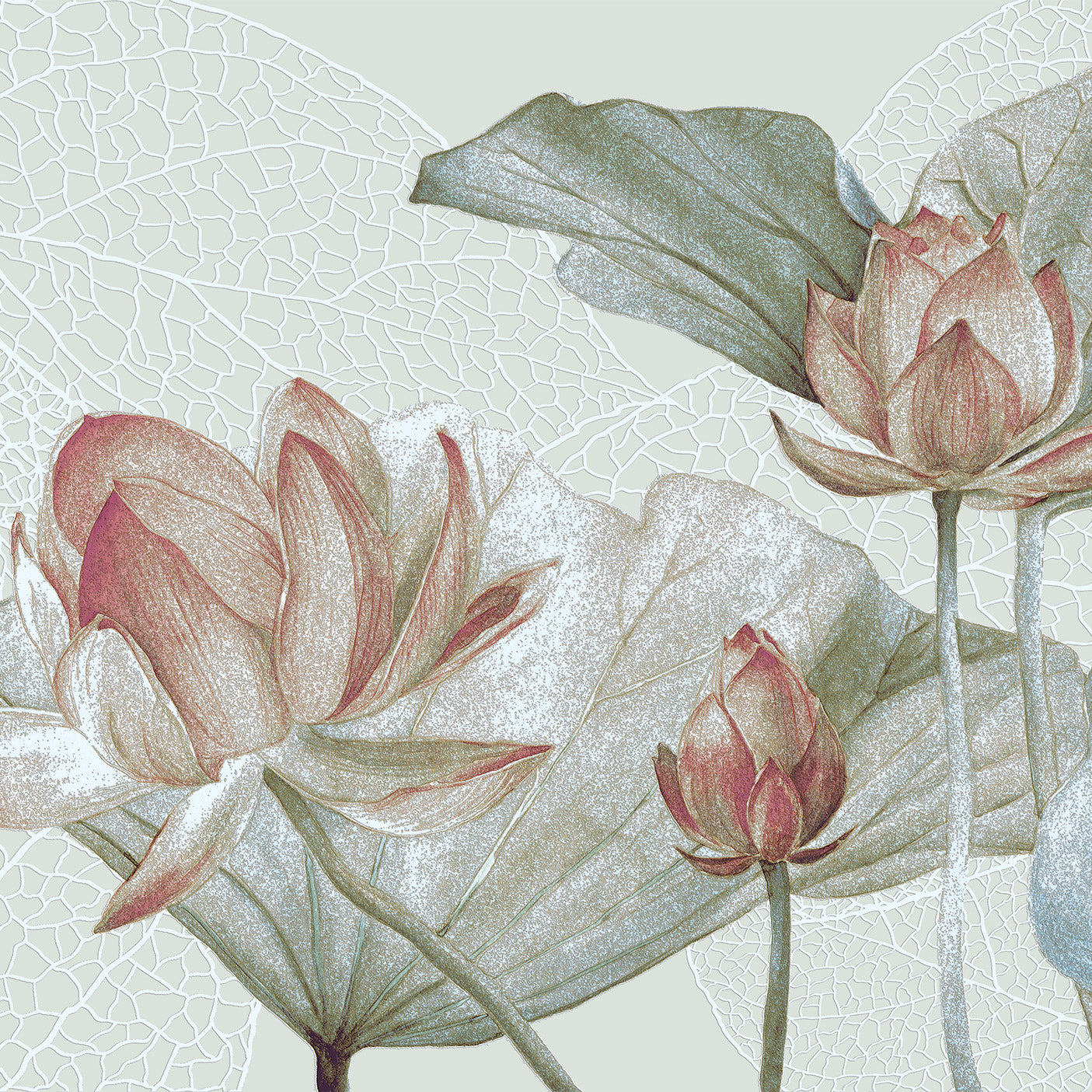 3D Lotus Flower - Printed Mural