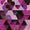 Orchid Geometrics