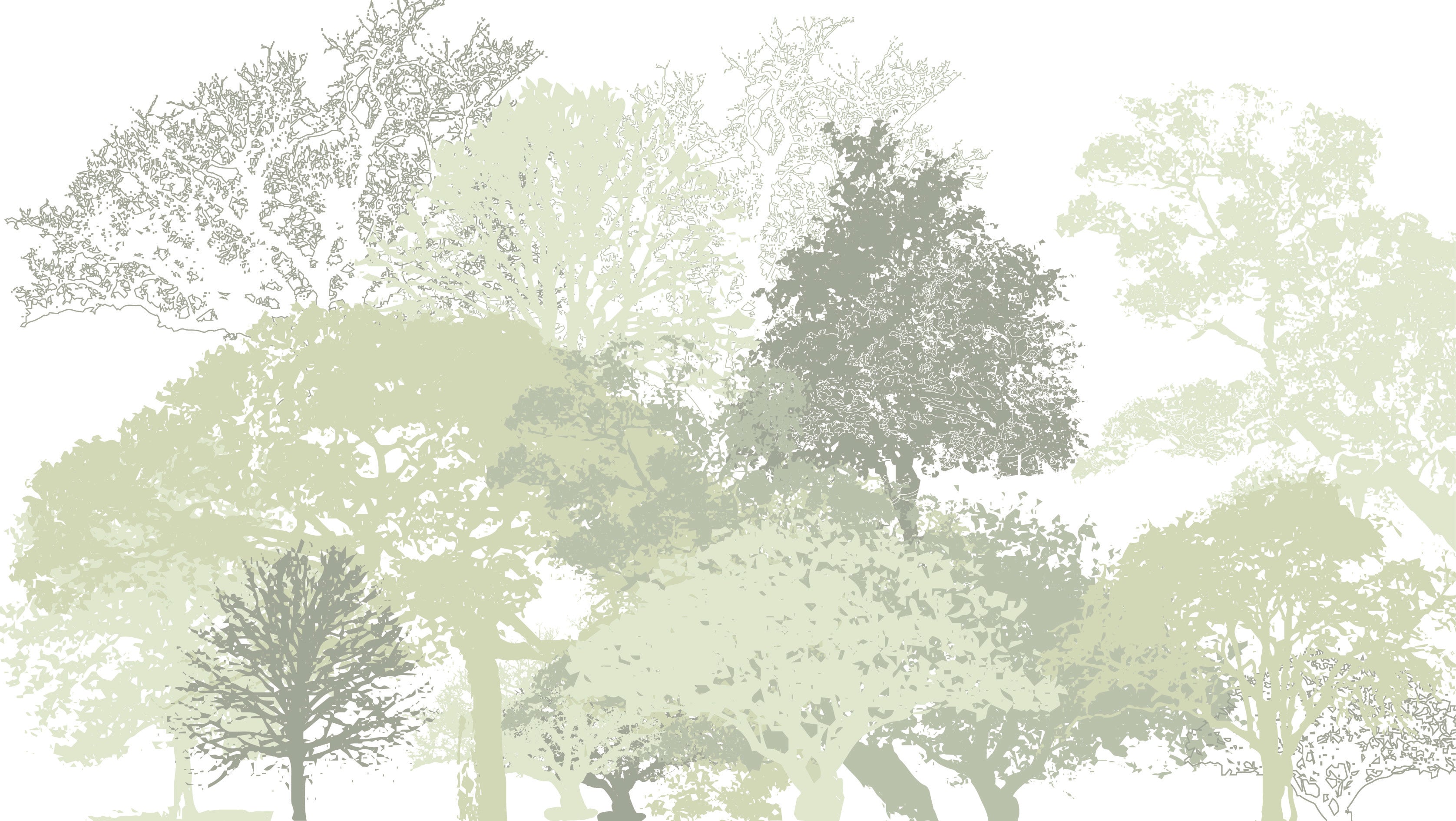 Whispering Woods