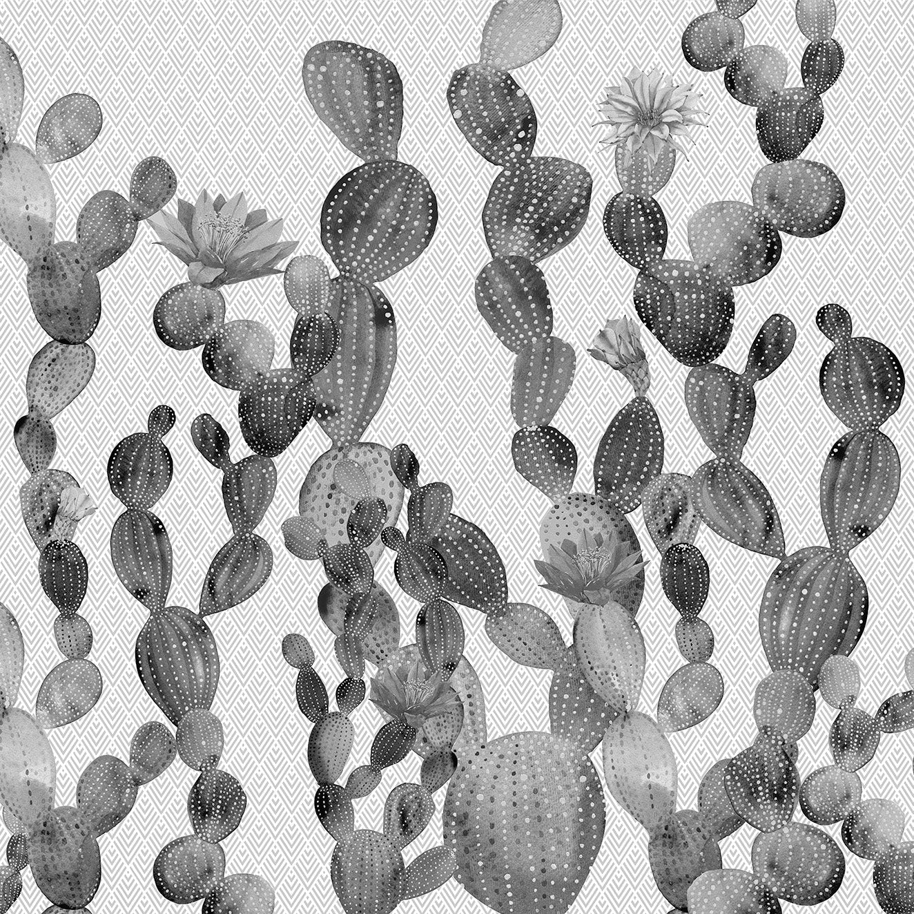 3D Cactus Bloom - Printed Mural
