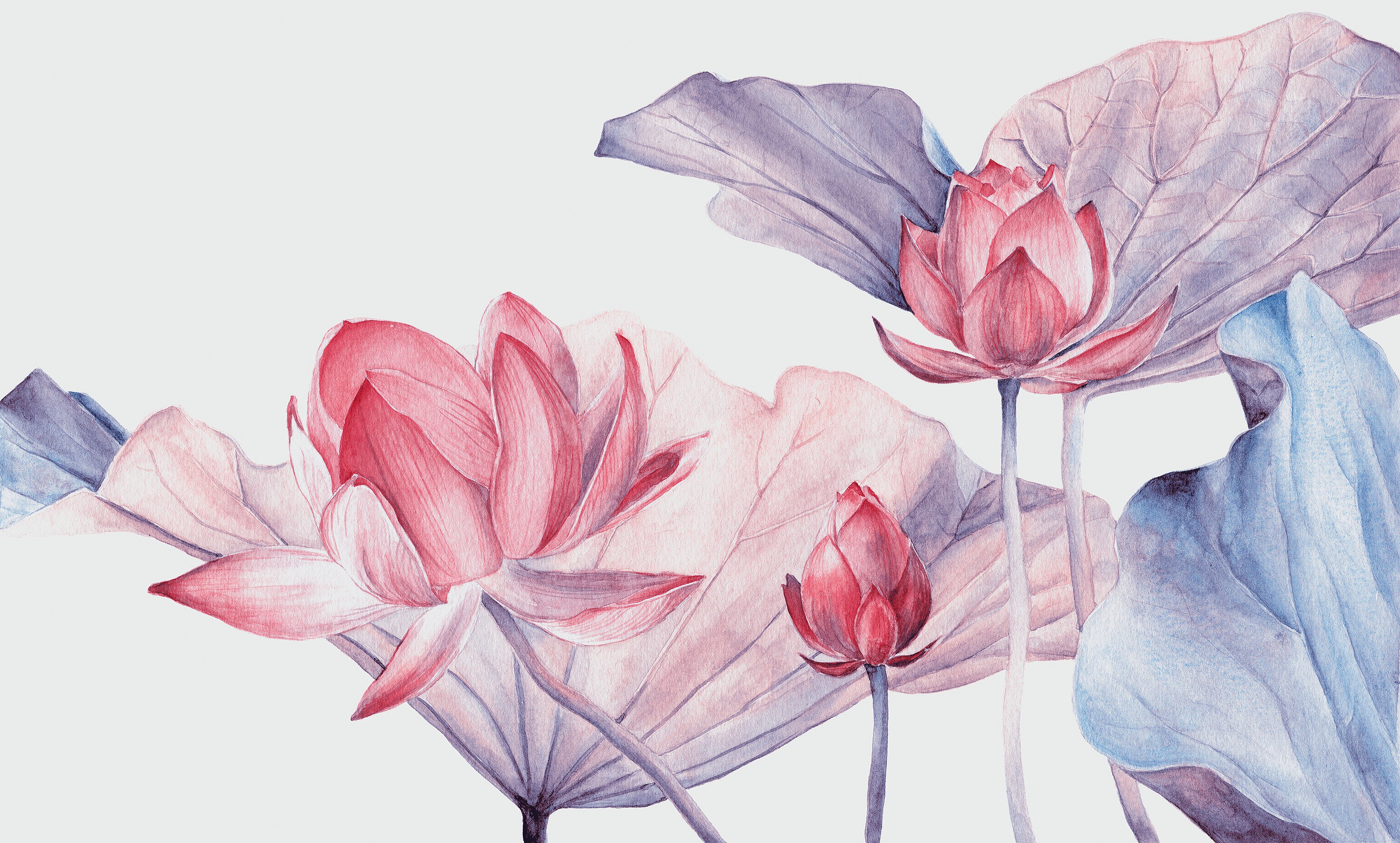 3D Lotus Flower - Printed Mural