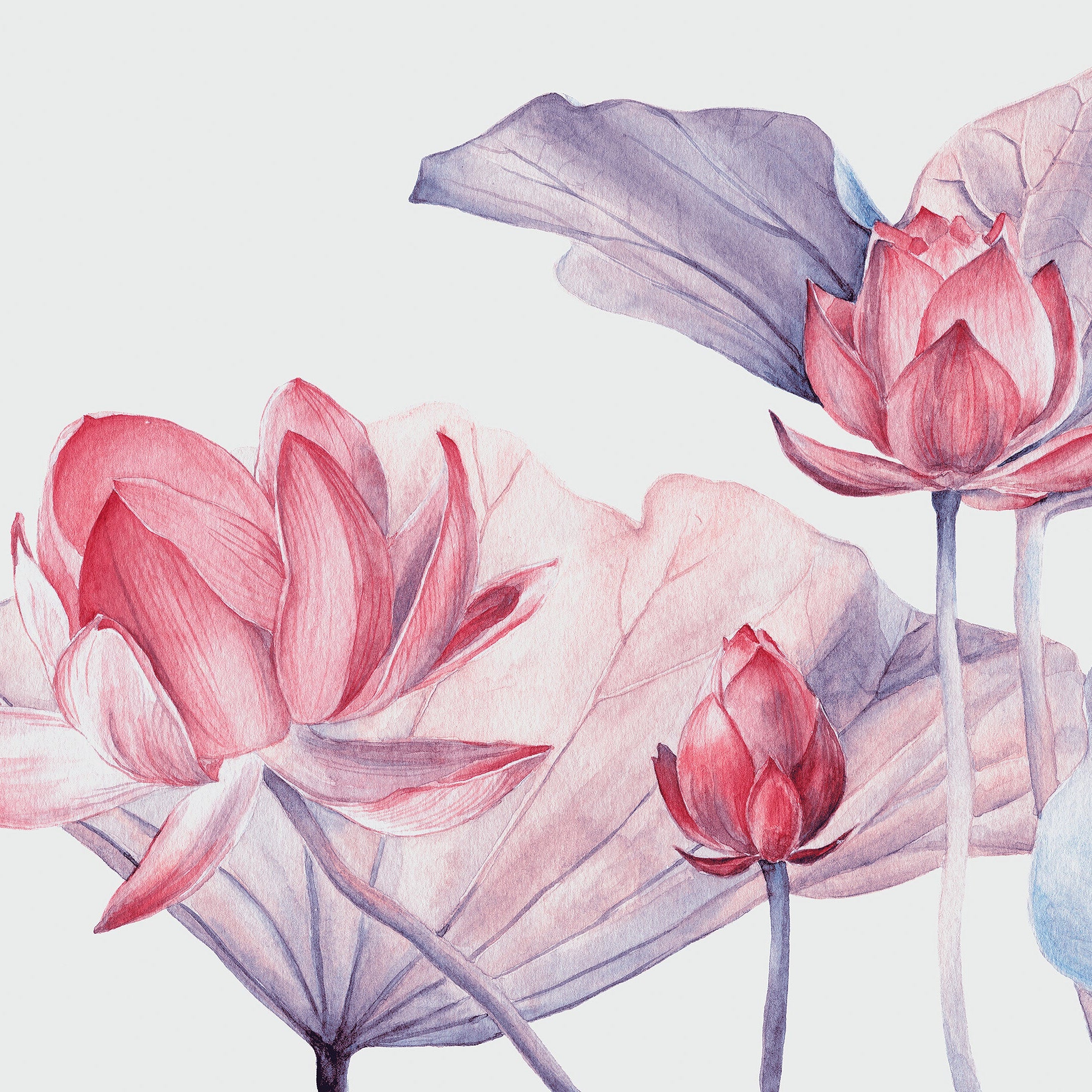 3D Lotus Flower - Printed