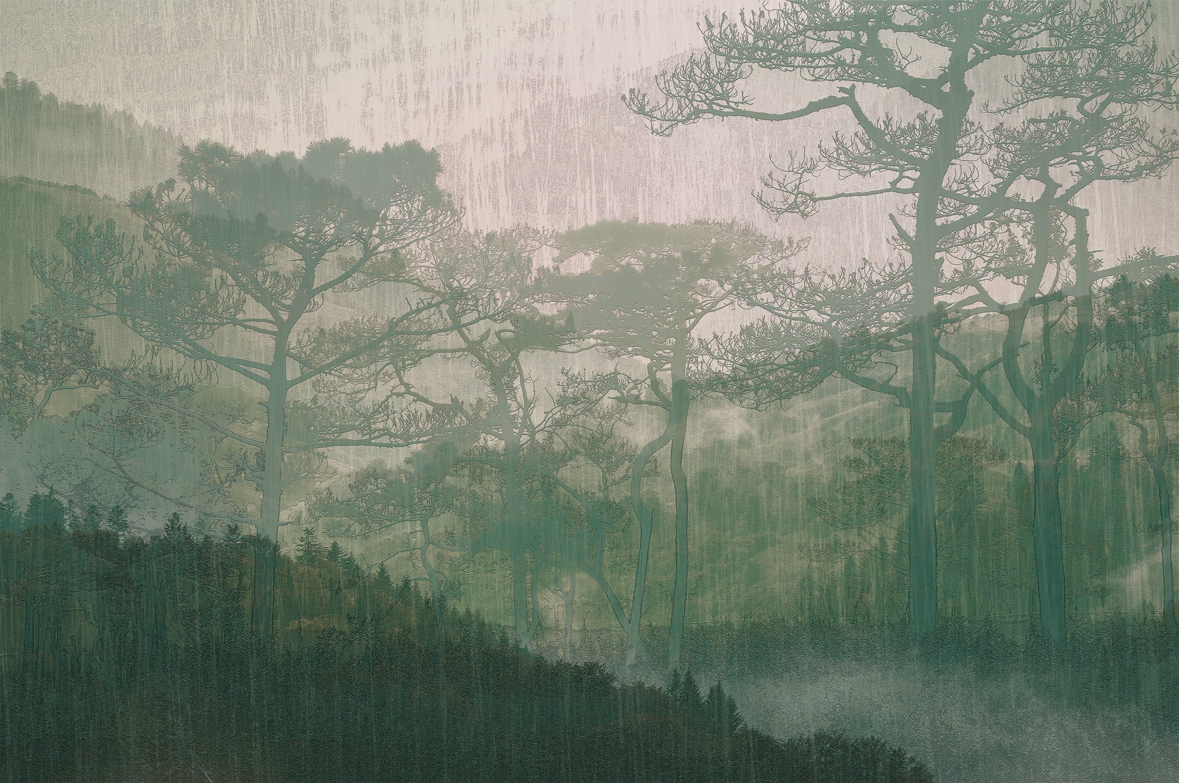 3D Forest Whispers - Printed Mural