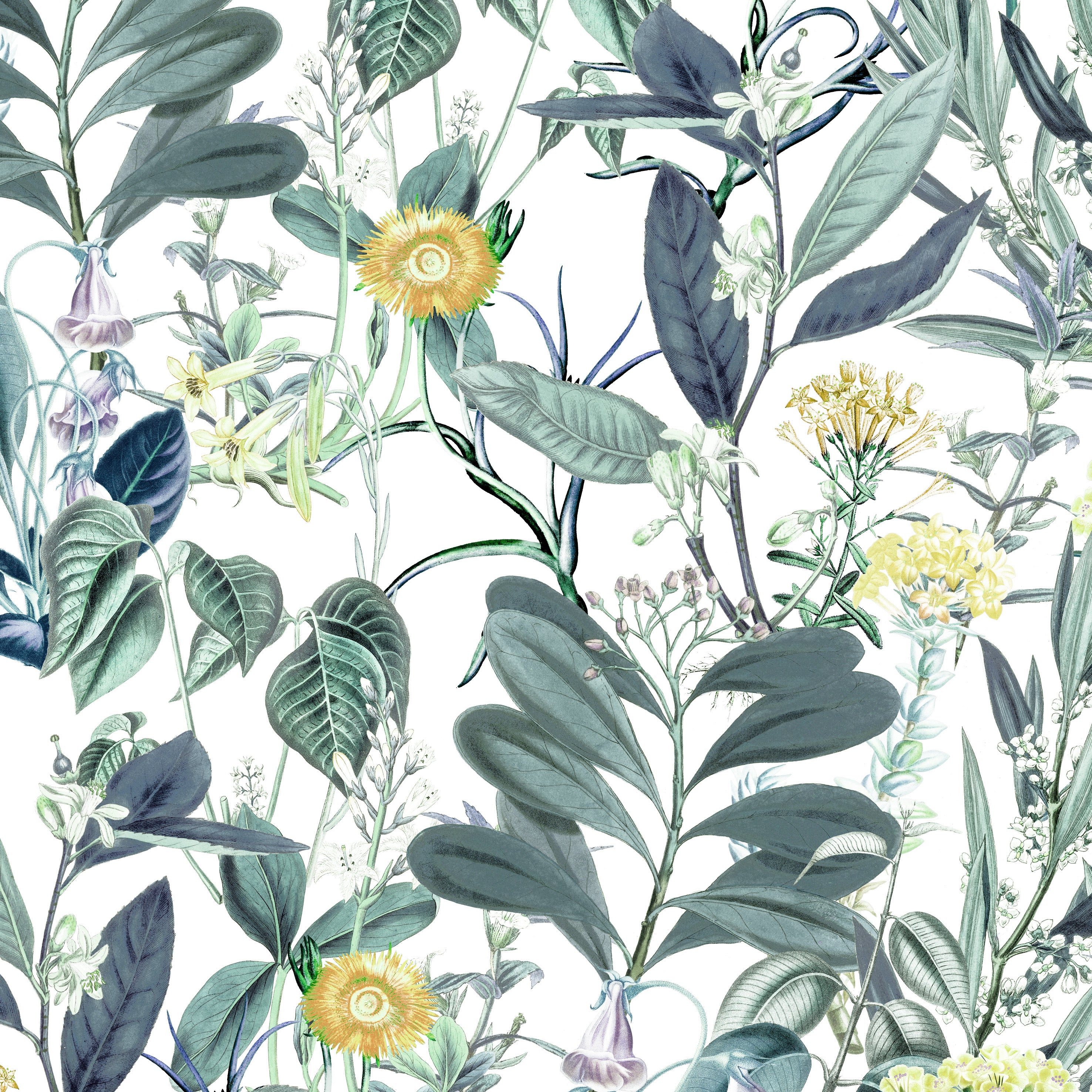 Botanical Harmony