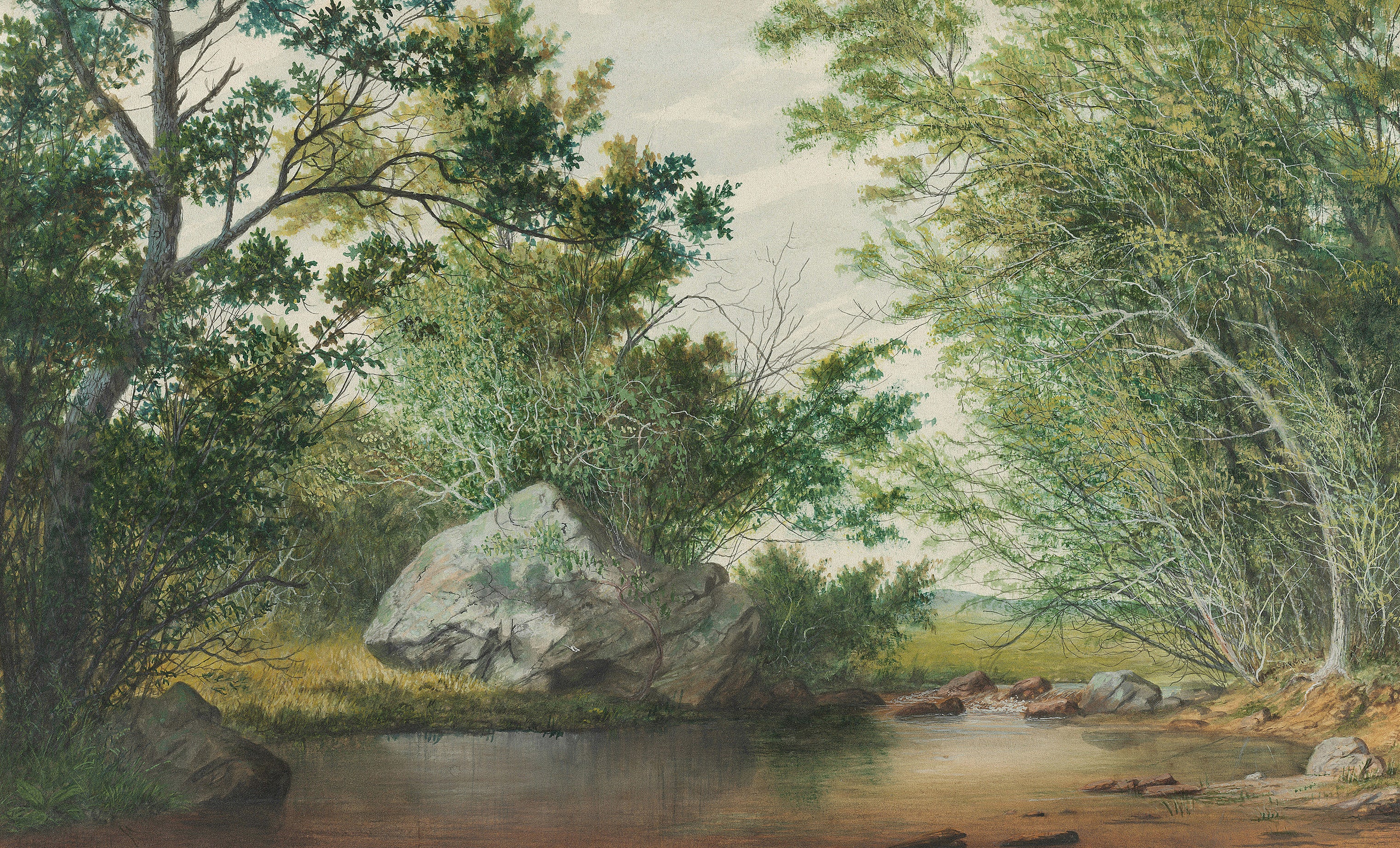 Woodland Stillness