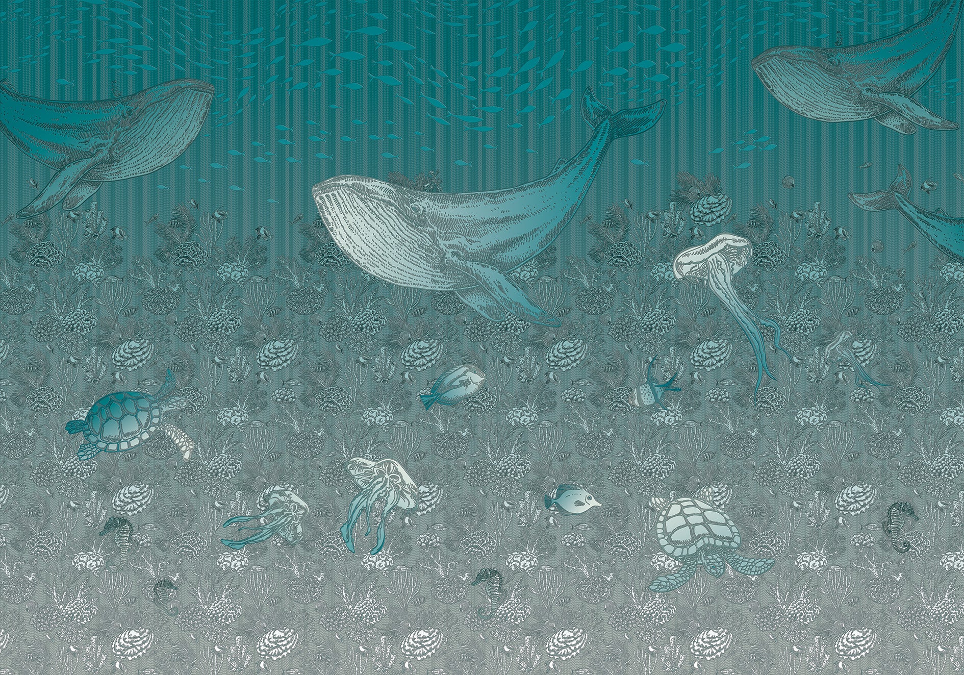 3D Whale Watch - Printed Mural