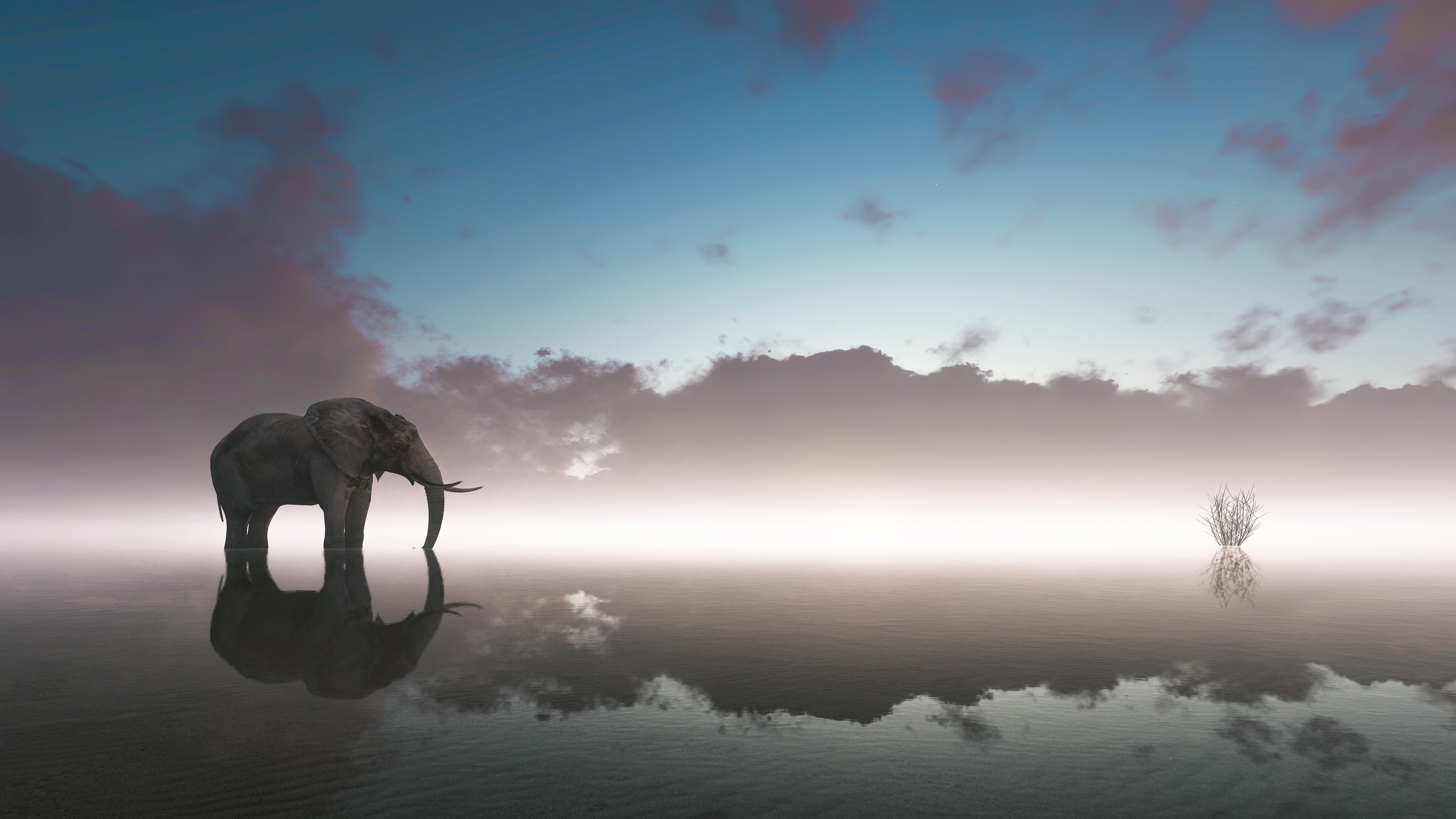 Silent Reflection