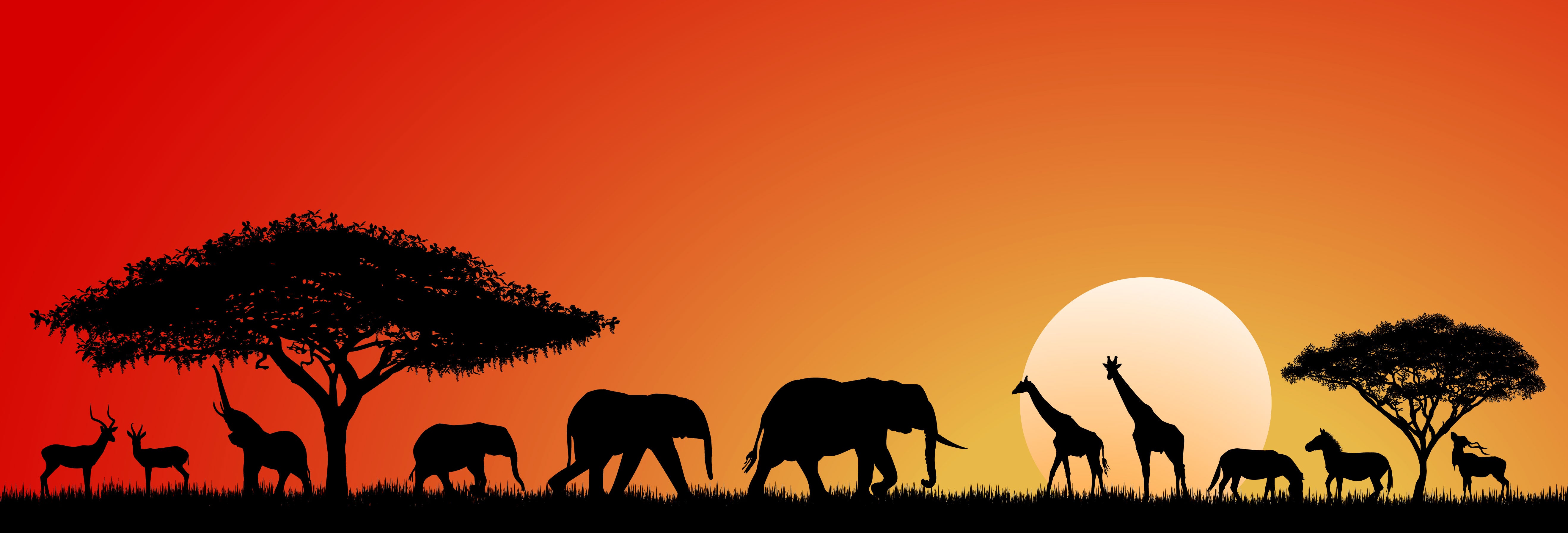 Savanna Sunset Serenade