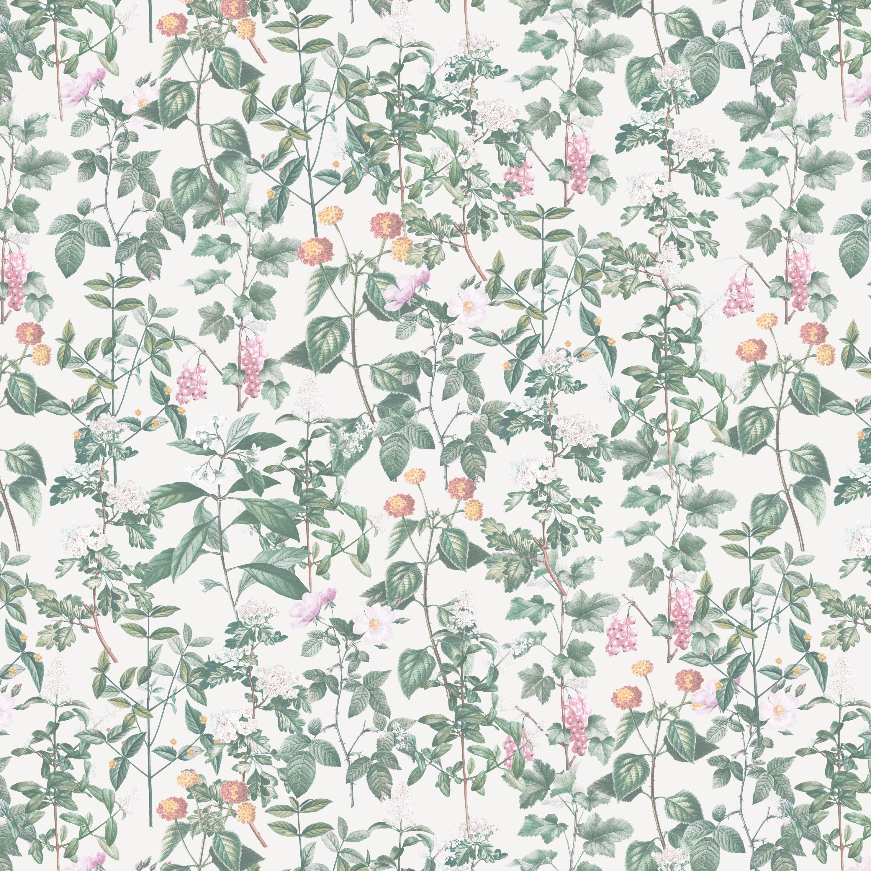 Meadow Whispers