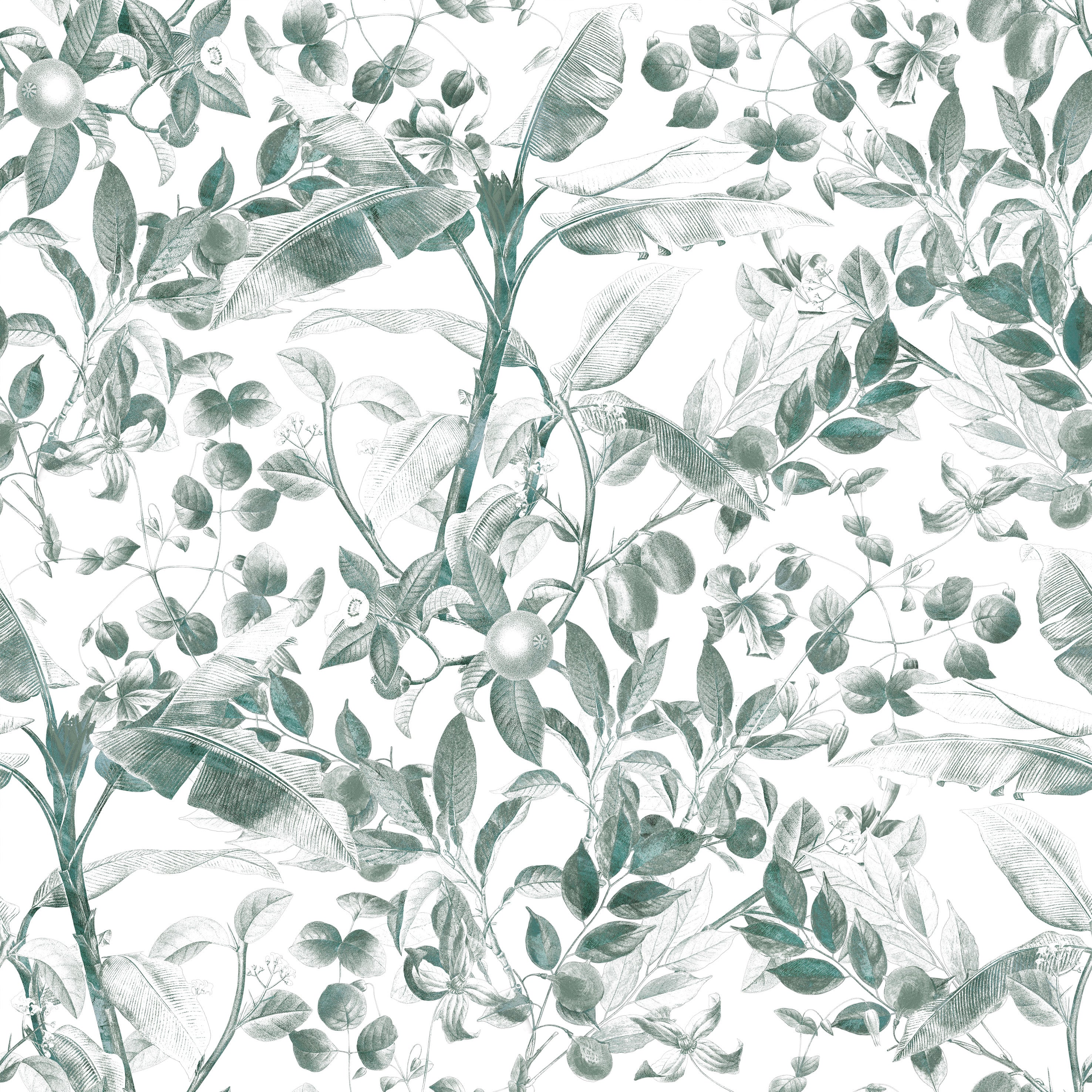 Botanical Foliage