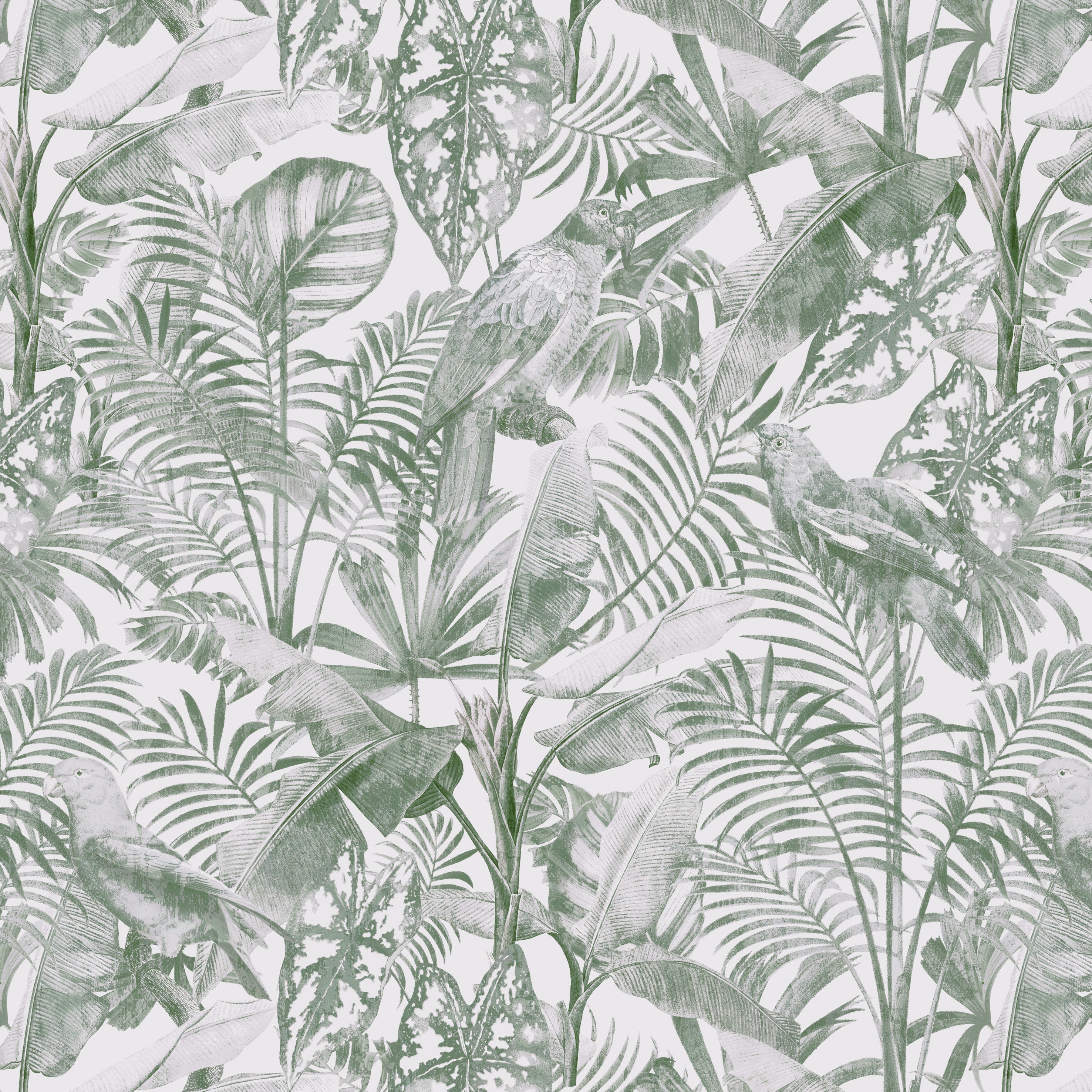 Misty Palm