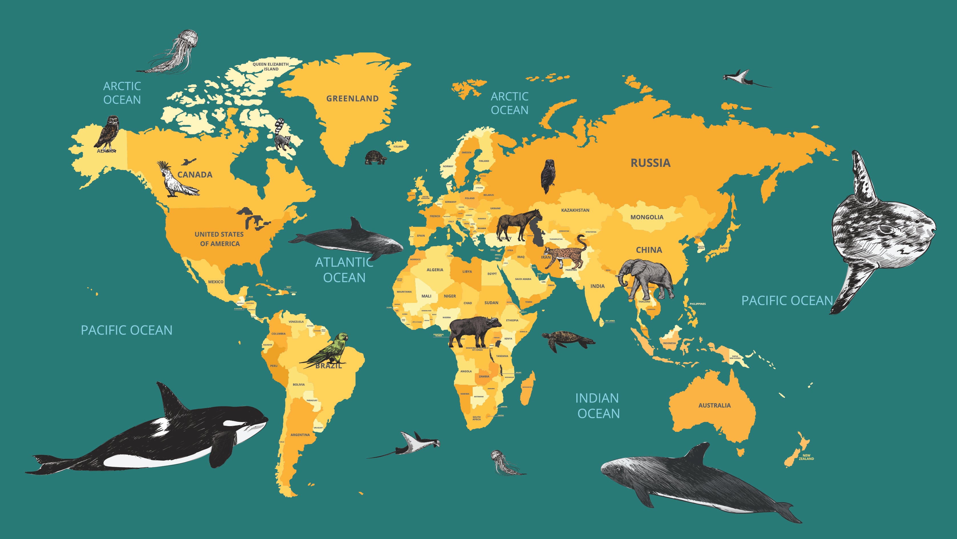 Wildlife Wanderlust