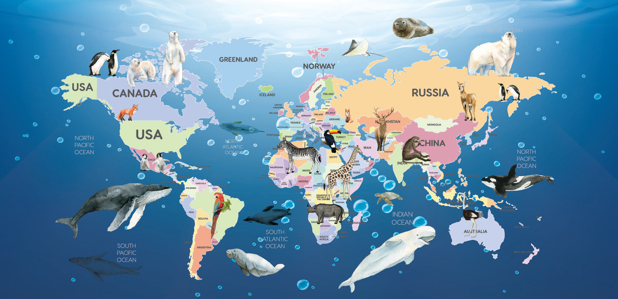 Animal Atlas
