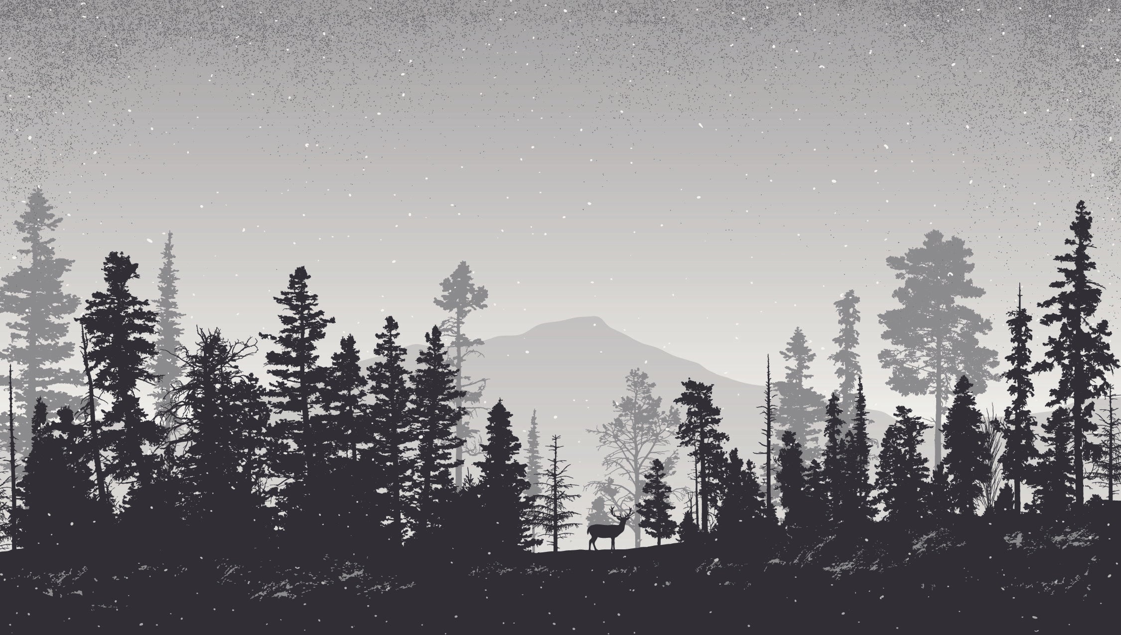Calm Northern Woods