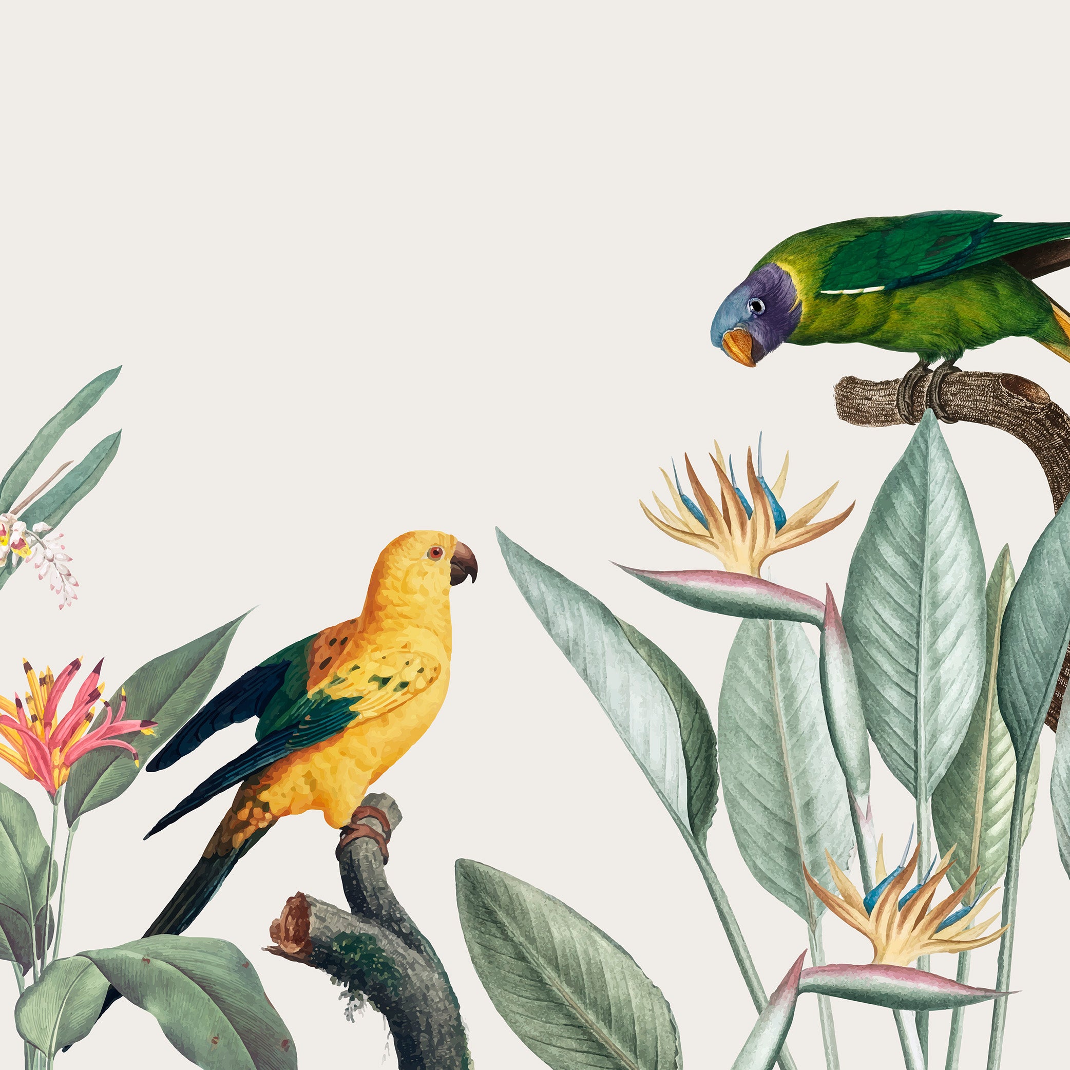 Tropical Chatter