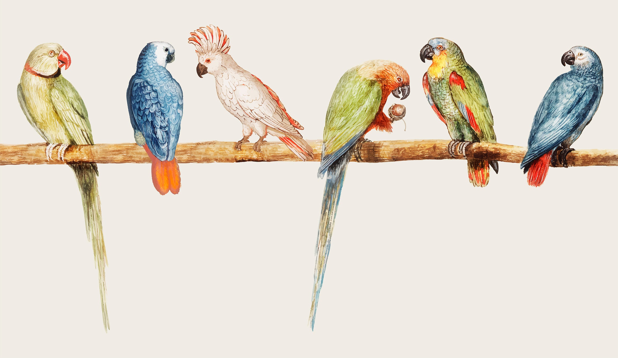 Perched Harmony