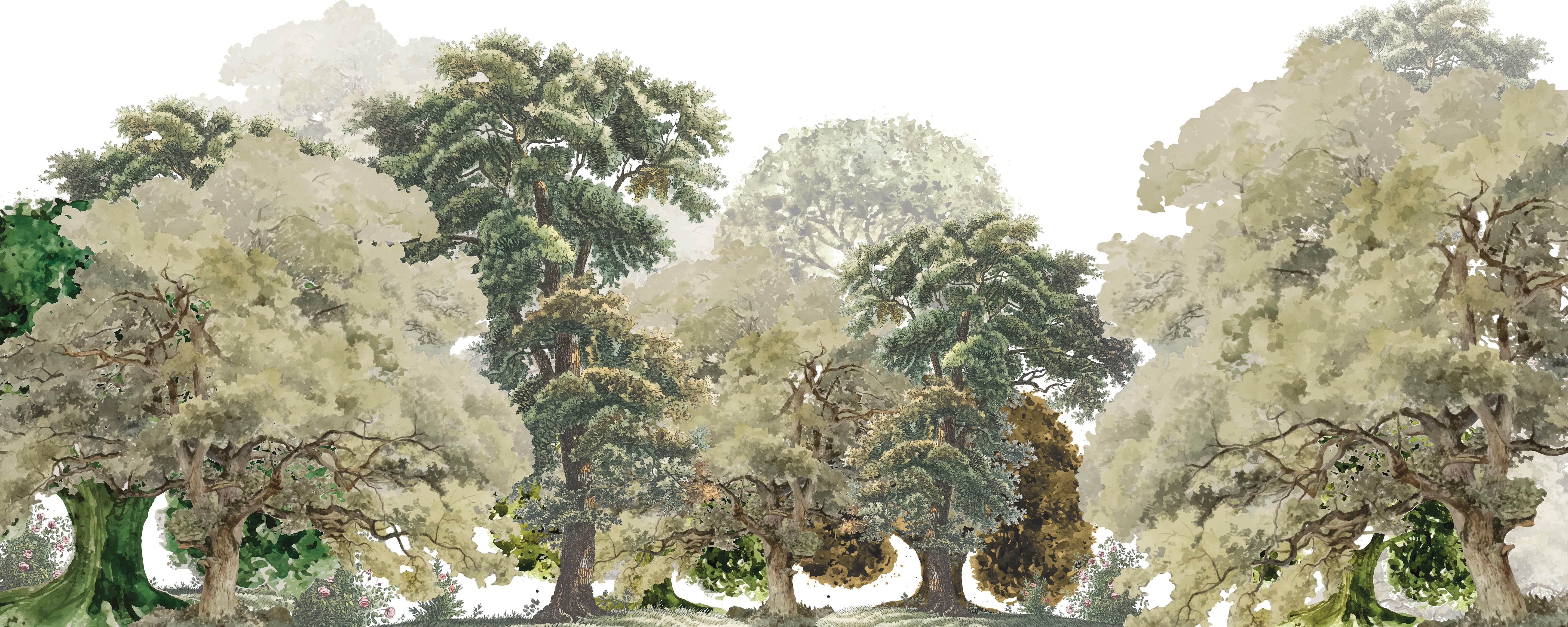 Ghostly Grove