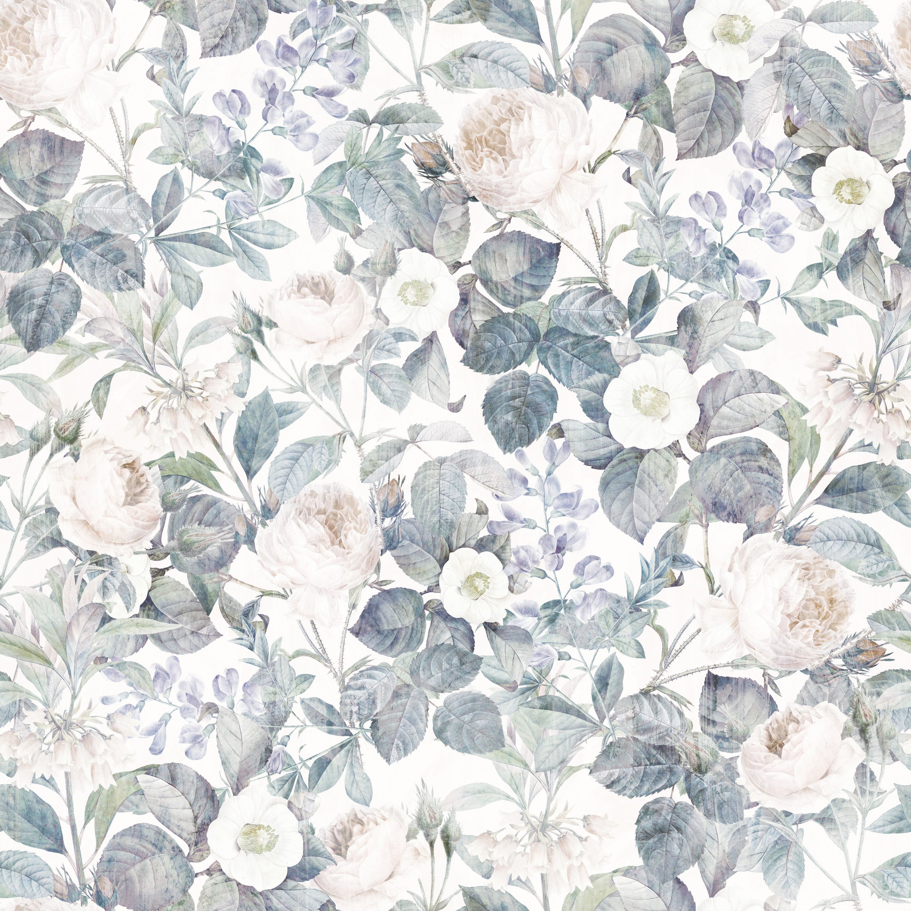 Tranquil Bloom