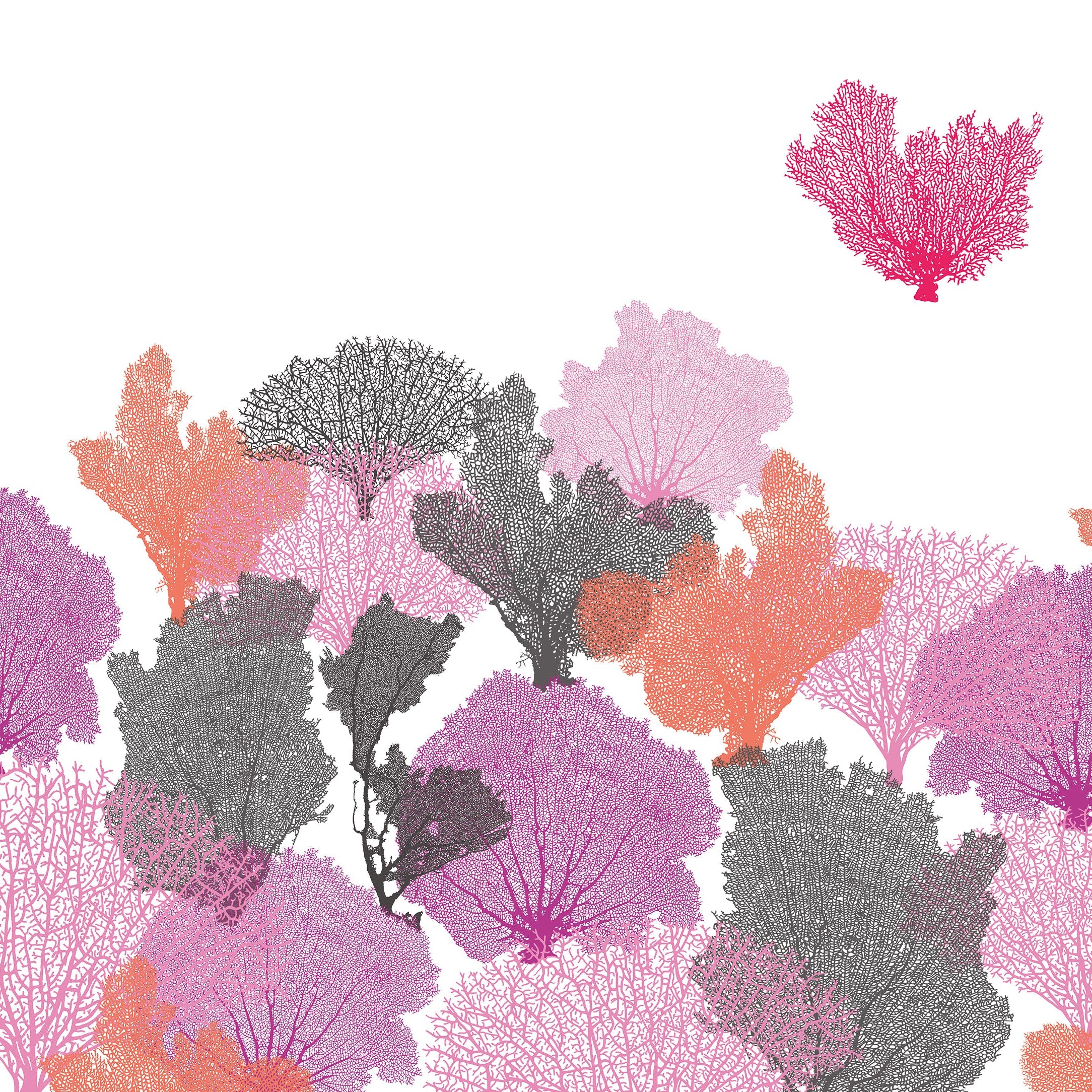3D Coral Reef Dreams - Printed