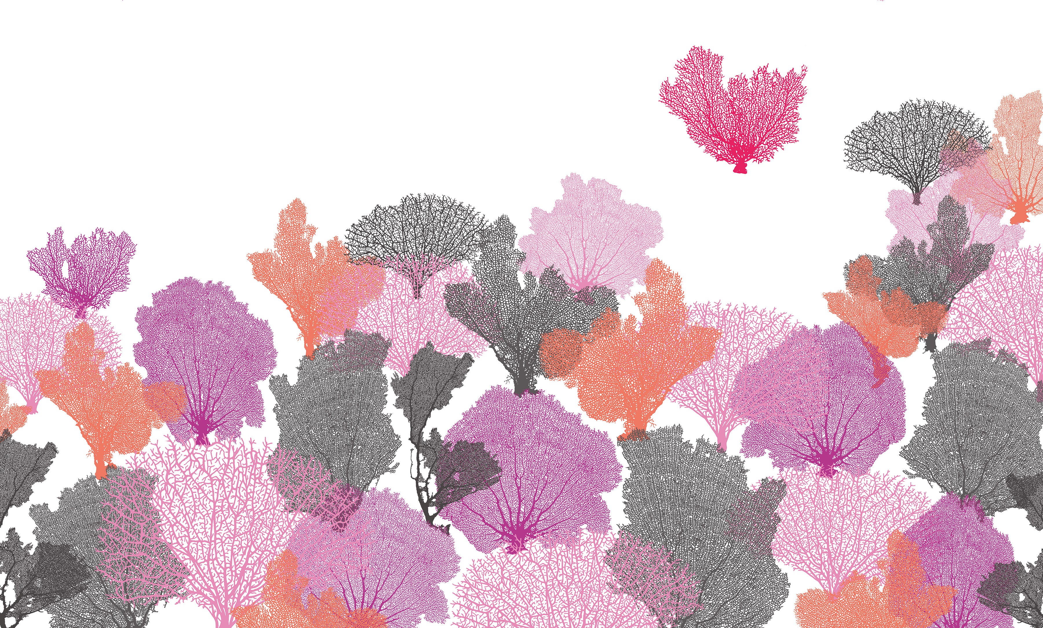 3D Coral Reef Dreams - Printed Mural