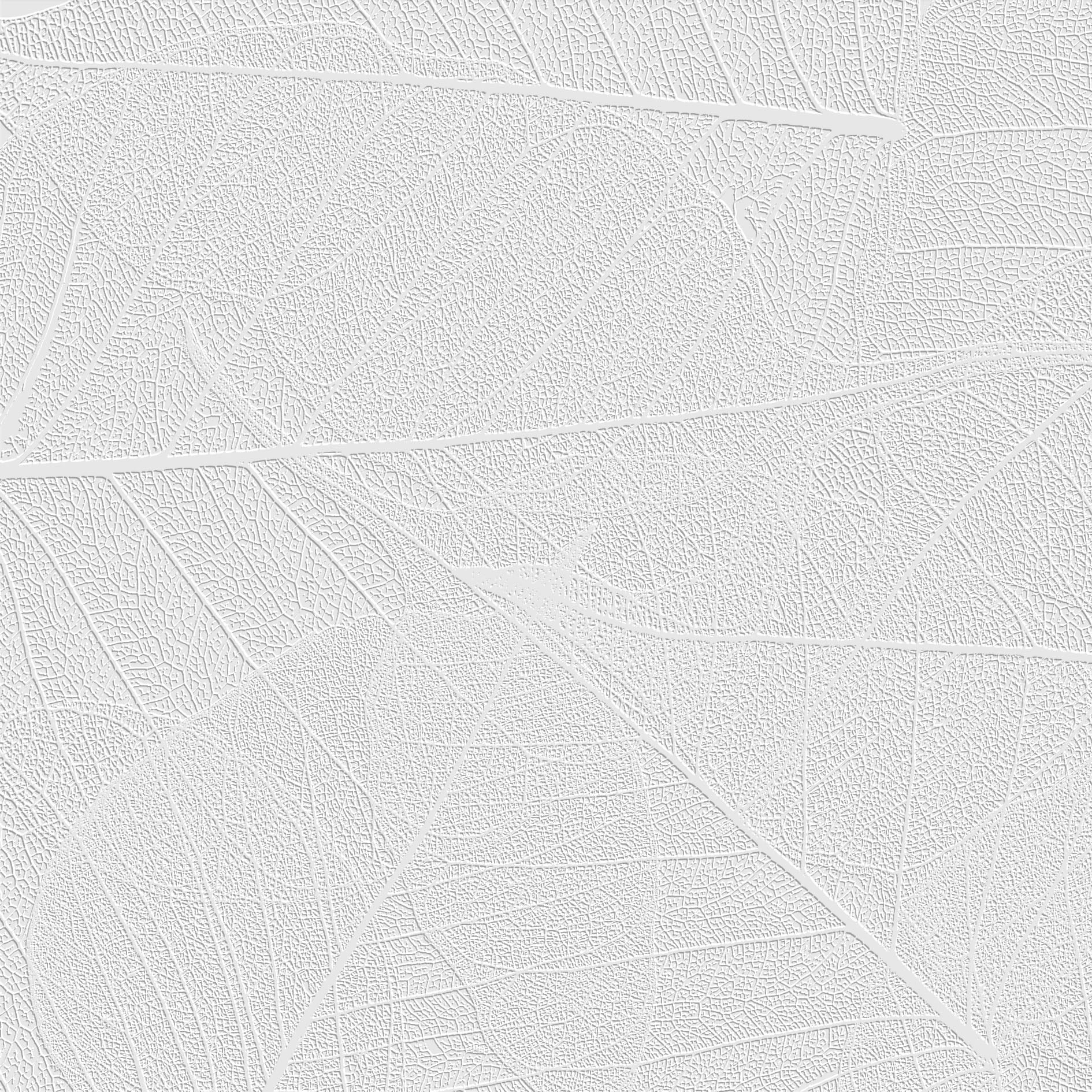3D Forest Floor