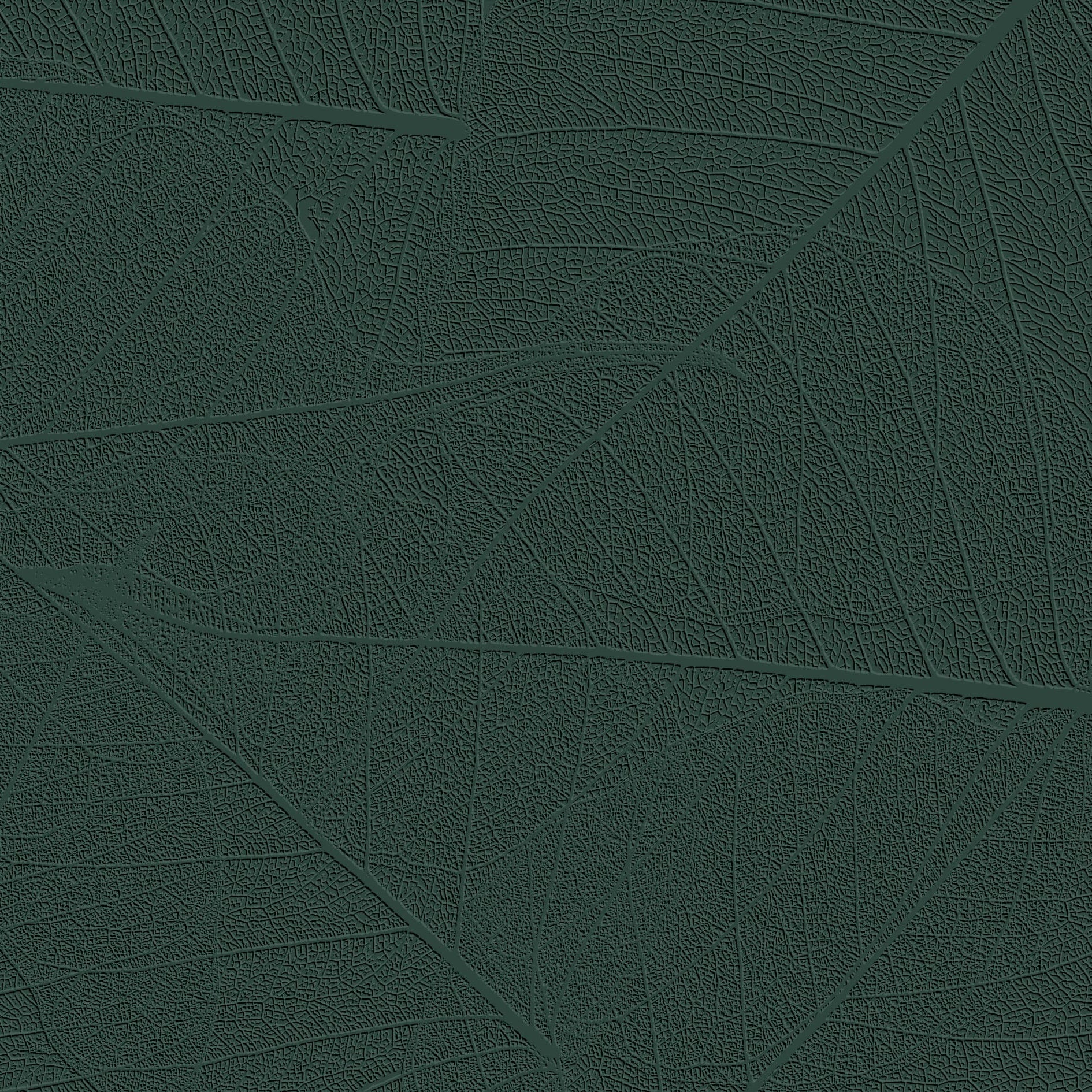 3D Forest Floor
