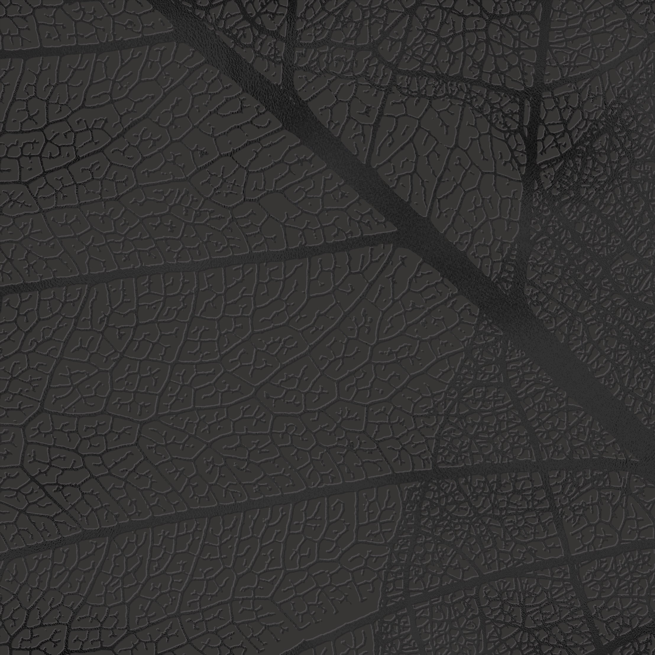 3D Forest Floor