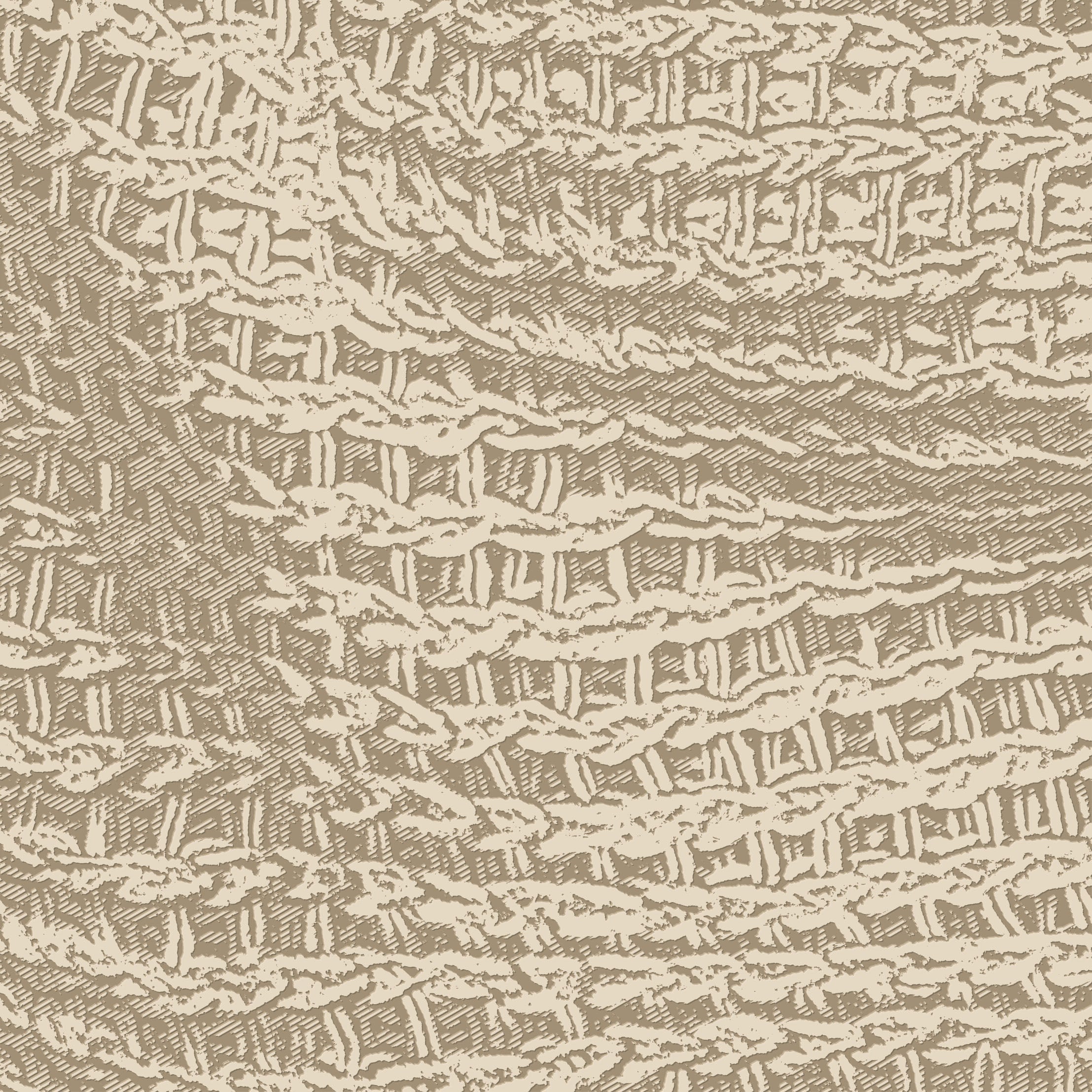 3D Woven Wonder