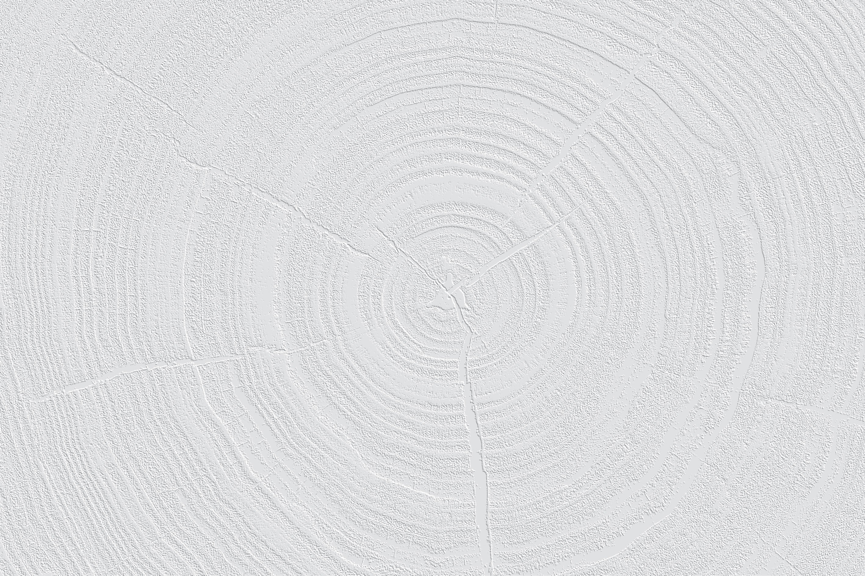3D Tree Rings - Paintable