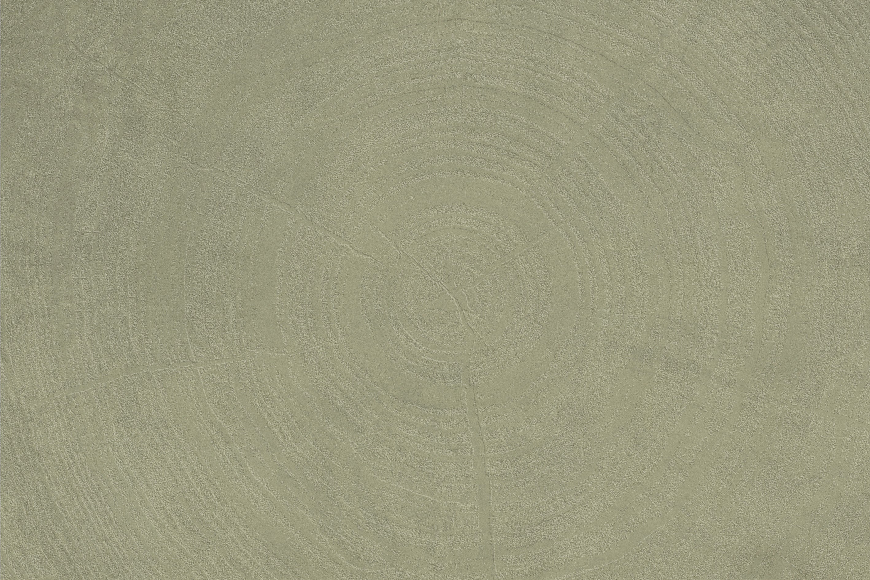 3D Tree Rings - Paintable