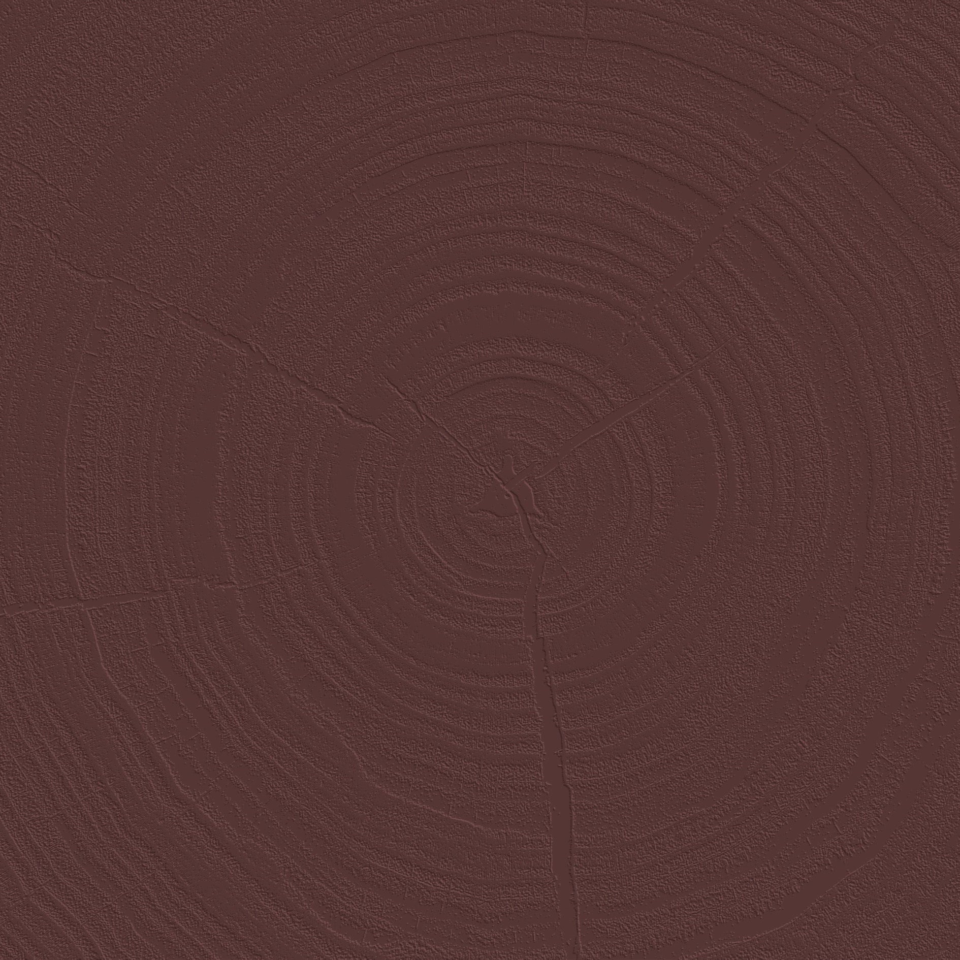 3D Tree Rings