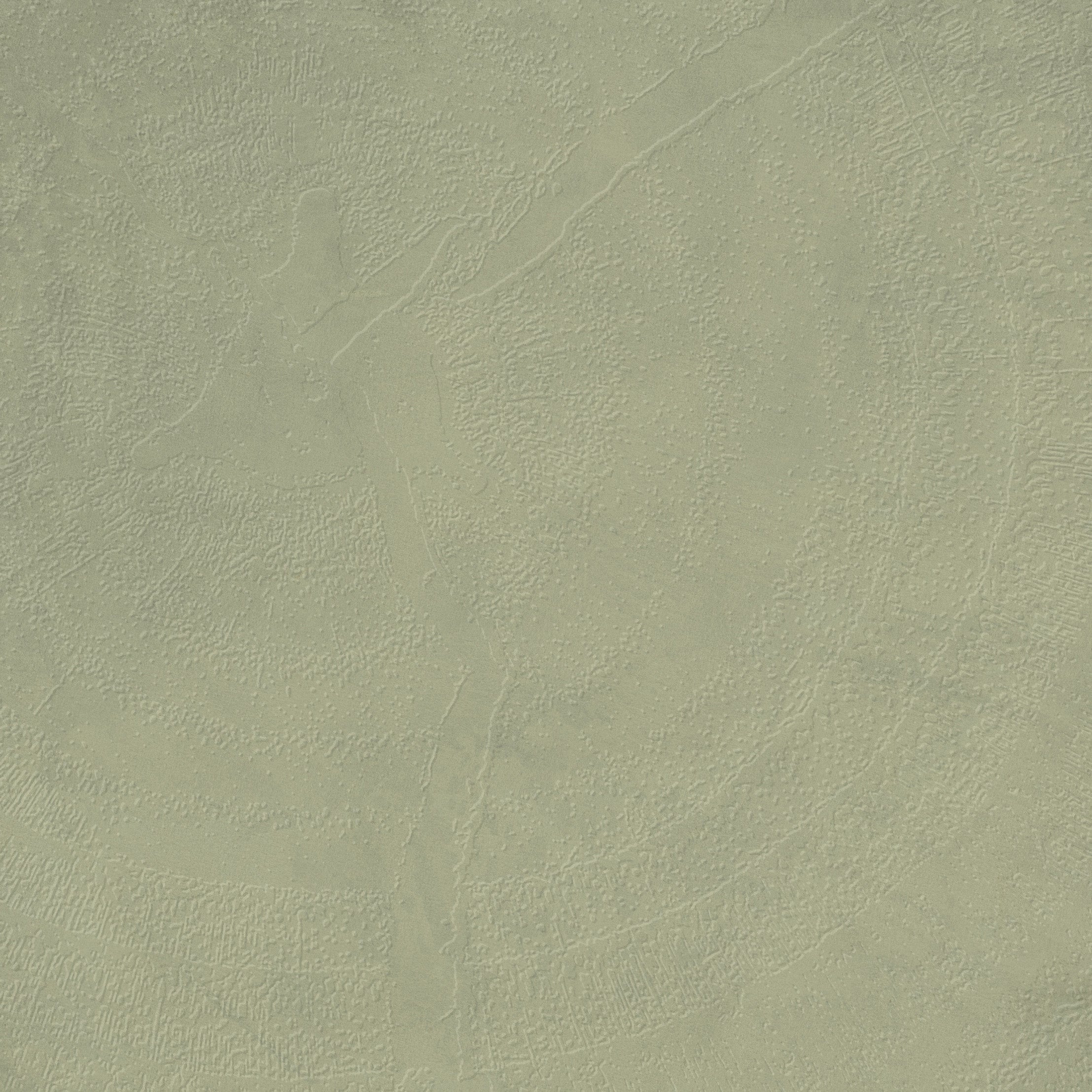 3D Tree Rings - Paintable
