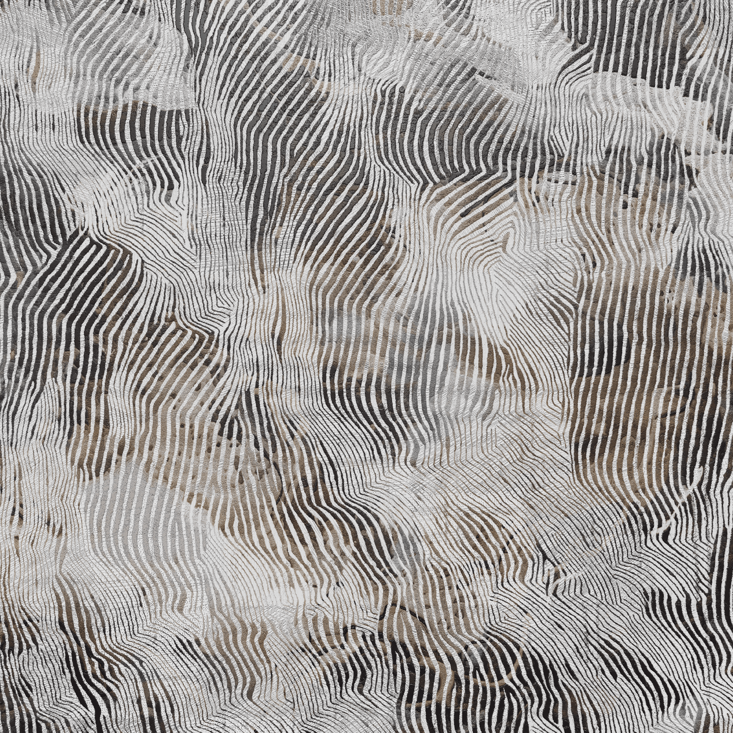 3D Zebra Print - Printed Mural